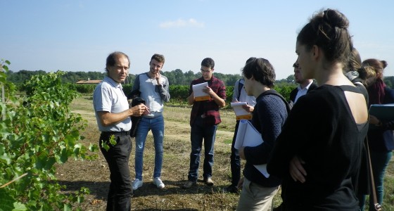 Cours de viticulture, avec Monsieur Philippe PIAUD